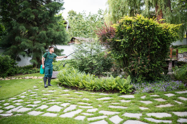 Best Best Pest Control Companies  in Bowie, TX