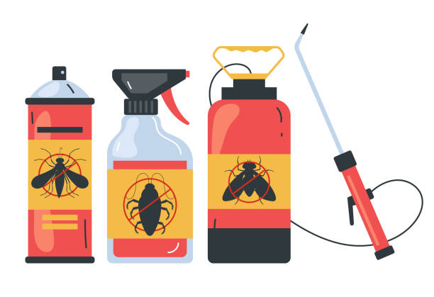 Insect Control in Bowie, TX