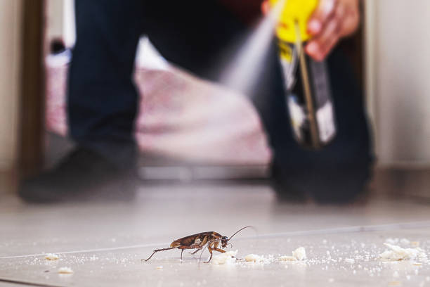 Best Emergency Pest Control  in Bowie, TX