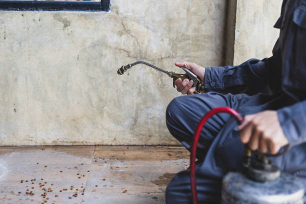 Best Best Pest Control Companies  in Bowie, TX