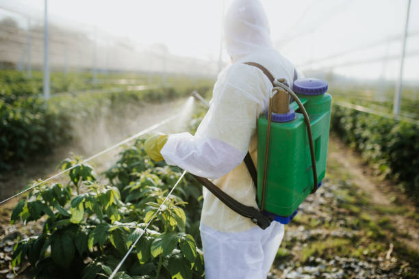  Bowie, TX Pest Control Pros